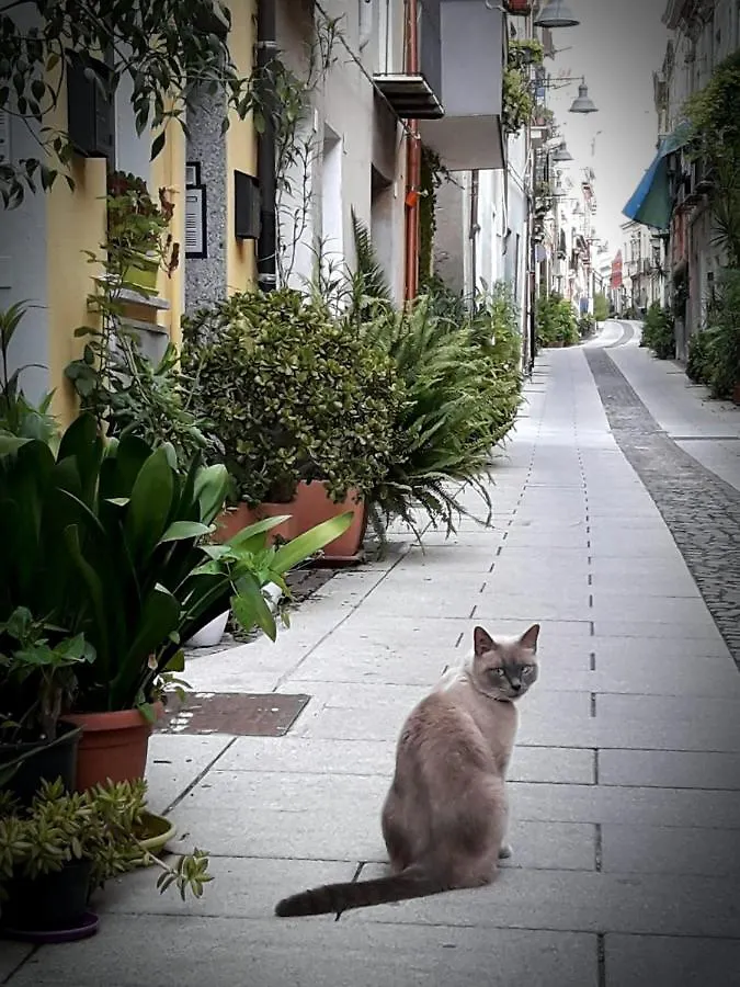 Via San Giacomo 10 Cagliari